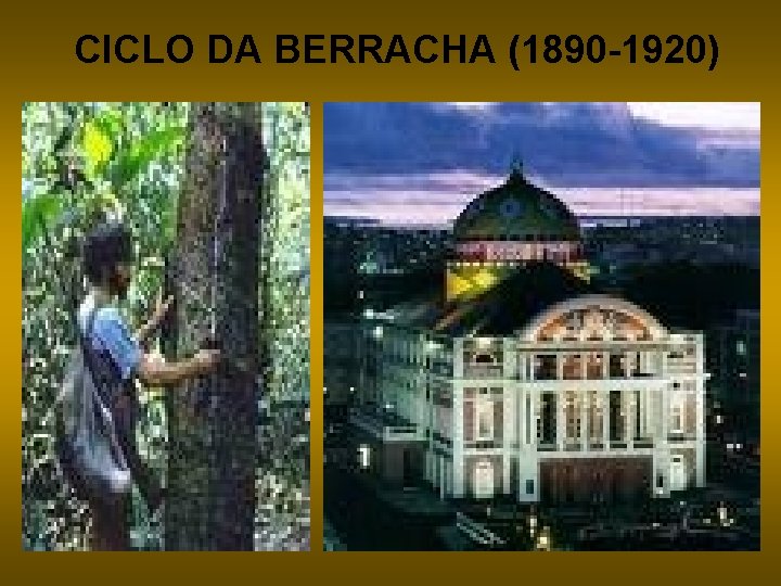 CICLO DA BERRACHA (1890 -1920) 