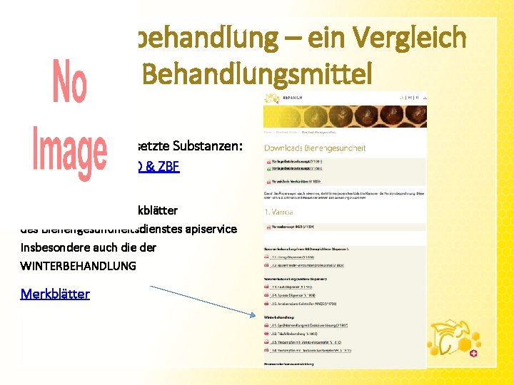 Winterbehandlung – ein Vergleich Behandlungsmittel Bei www. bienen. ch: In der Imkerei eingesetzte Substanzen: