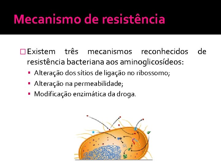 Mecanismo de resistência � Existem três mecanismos reconhecidos de resistência bacteriana aos aminoglicosídeos: Alteração