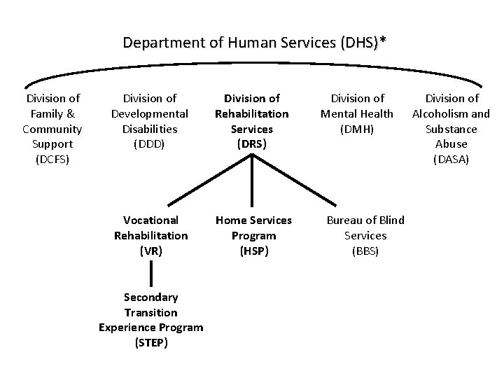 Department of Human Services (DHS)* Division of Family & Community Support (DCFS) Division of