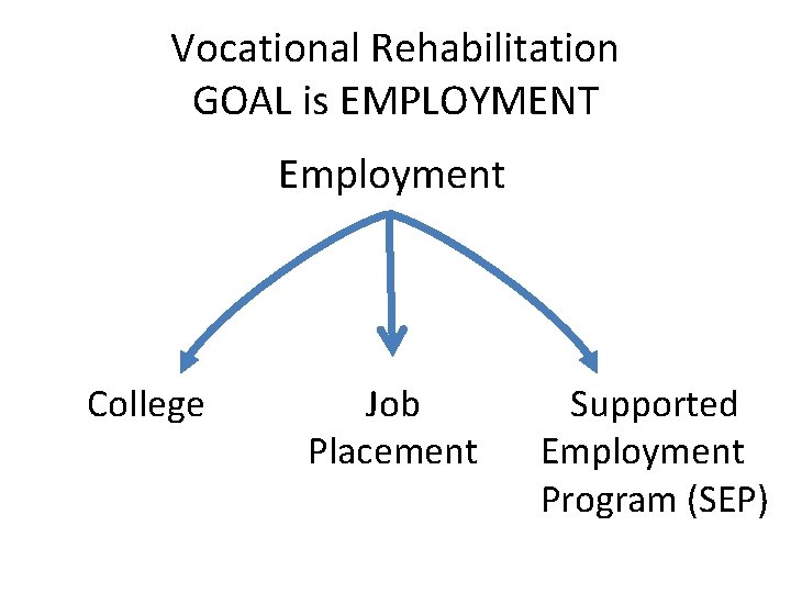 Vocational Rehabilitation GOAL is EMPLOYMENT Employment College Job Placement Supported Employment Program (SEP) 