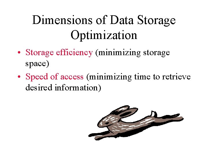 Dimensions of Data Storage Optimization • Storage efficiency (minimizing storage space) • Speed of