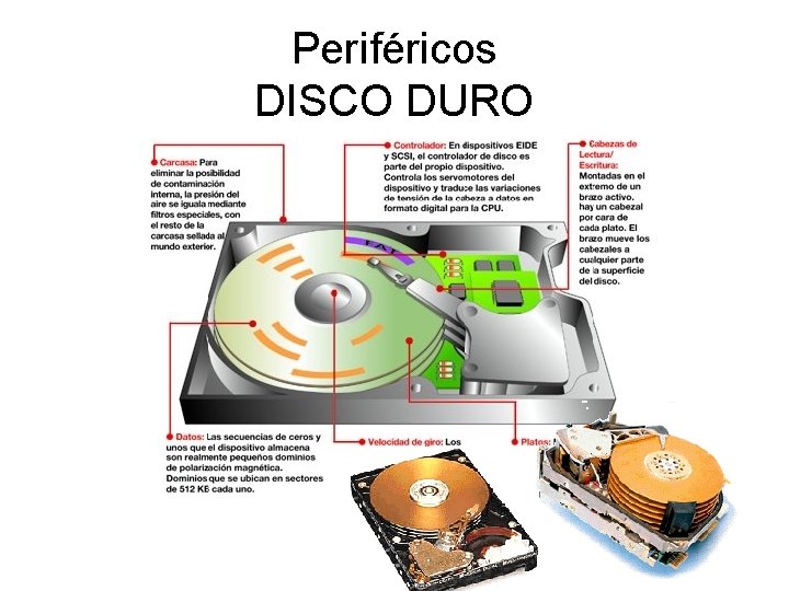 Periféricos DISCO DURO 