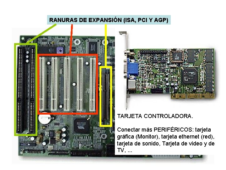 RANURAS DE EXPANSIÓN (ISA, PCI Y AGP) TARJETA CONTROLADORA. Conectar más PERIFÉRICOS: tarjeta gráfica