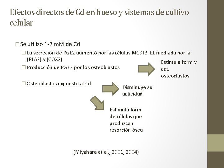 Efectos directos de Cd en hueso y sistemas de cultivo celular �Se utilizó 1