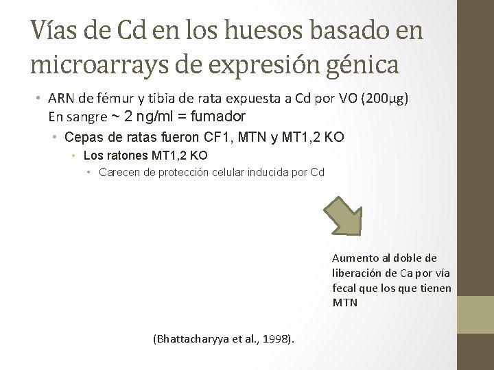 Vías de Cd en los huesos basado en microarrays de expresión génica • ARN