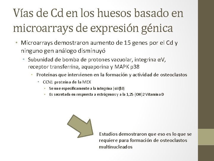 Vías de Cd en los huesos basado en microarrays de expresión génica • Microarrays