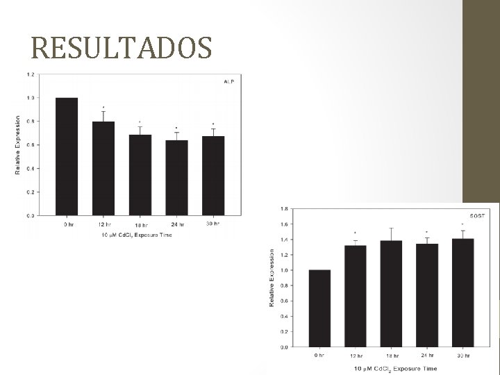 RESULTADOS 