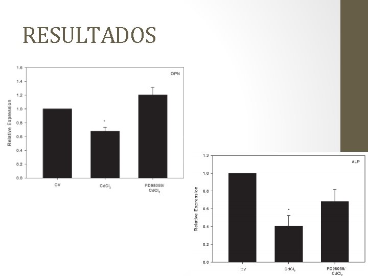 RESULTADOS 
