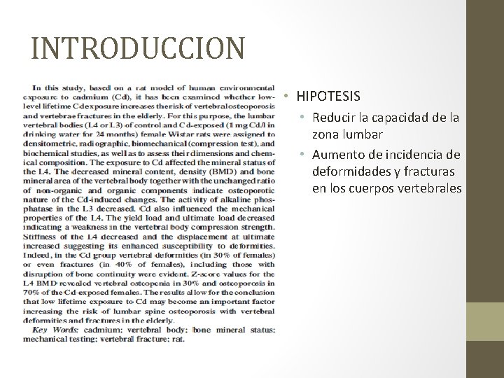 INTRODUCCION • HIPOTESIS • Reducir la capacidad de la zona lumbar • Aumento de