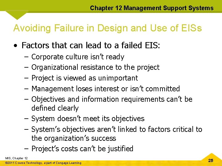 Chapter 12 Management Support Systems Avoiding Failure in Design and Use of EISs •