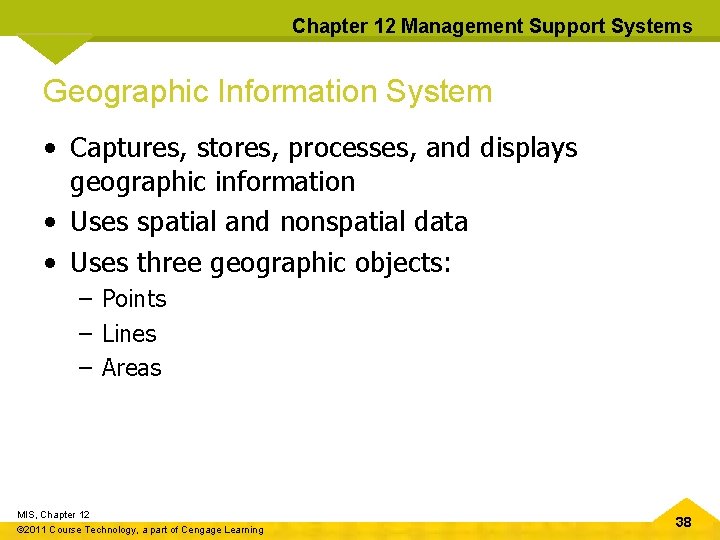 Chapter 12 Management Support Systems Geographic Information System • Captures, stores, processes, and displays