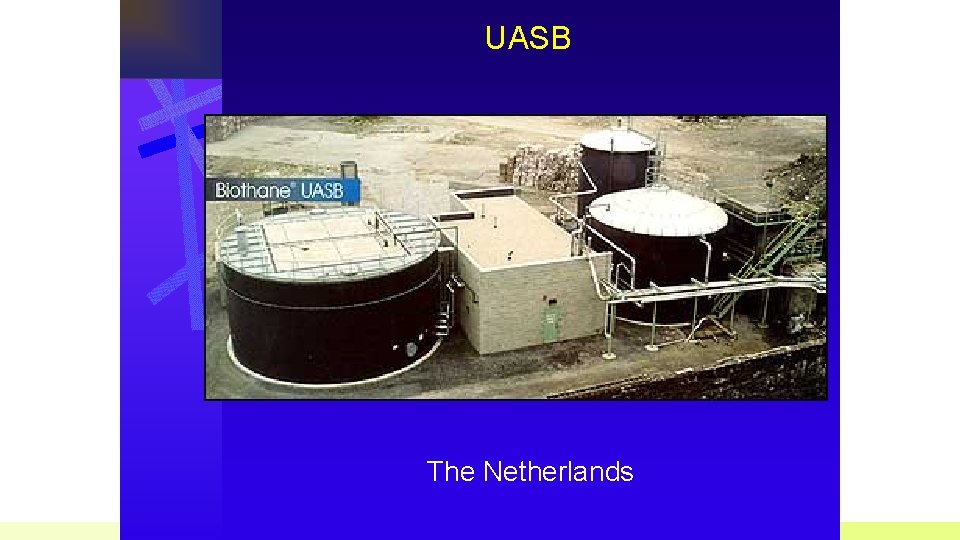 UASB The Netherlands 