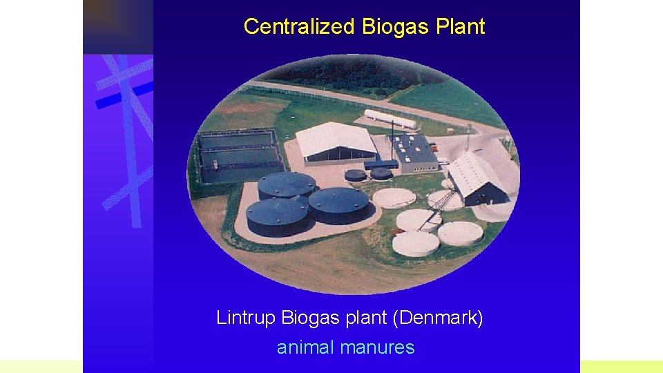 Centralized Biogas Plant Lintrup Biogas plant (Denmark) animal manures 