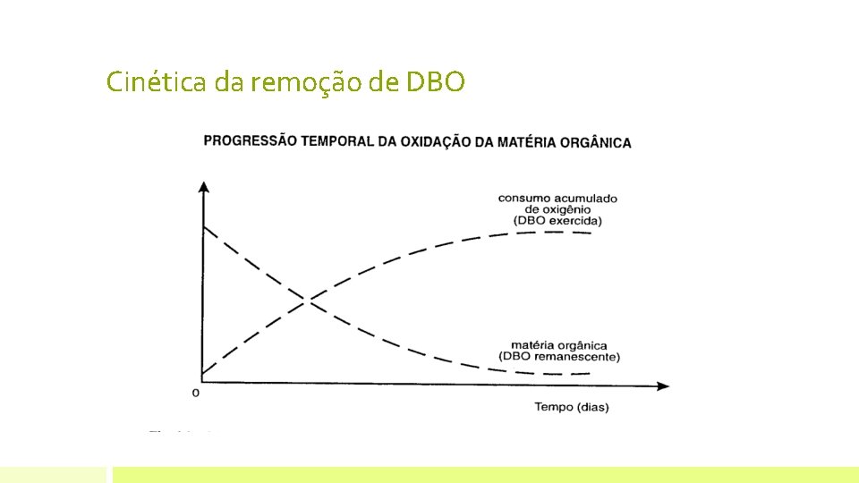 Cinética da remoção de DBO 