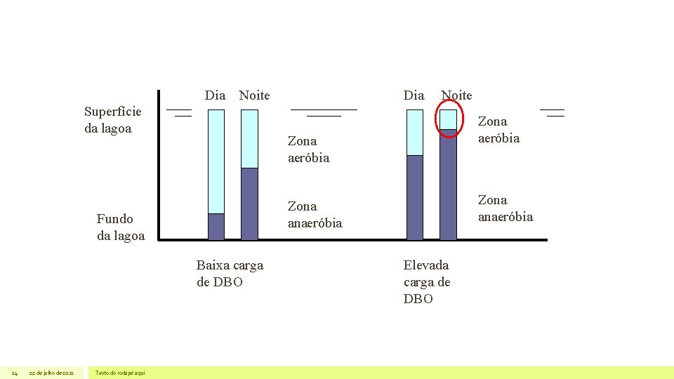 Dia Noite Superfície da lagoa Texto do rodapé aqui Zona aeróbia Zona anaeróbia Baixa