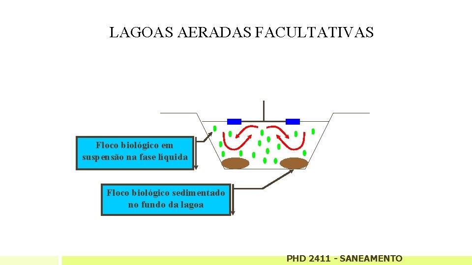 LAGOAS AERADAS FACULTATIVAS Floco biológico em suspensão na fase líquida Floco biológico sedimentado no