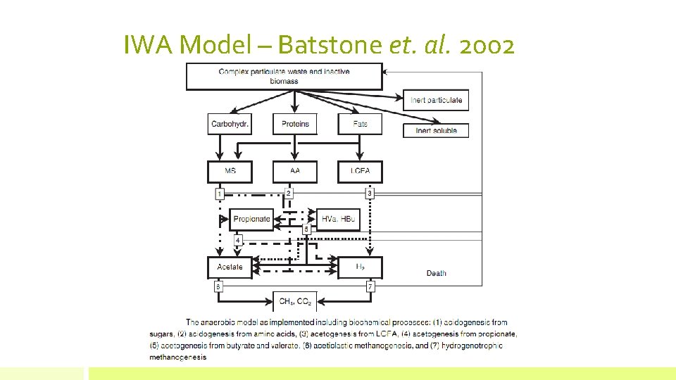 IWA Model – Batstone et. al. 2002 