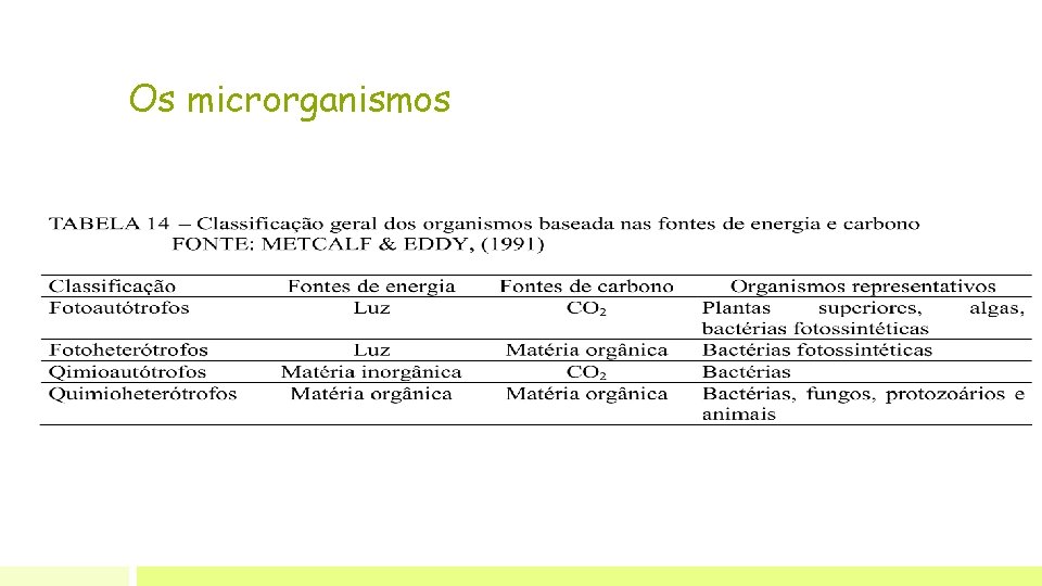 Os microrganismos 