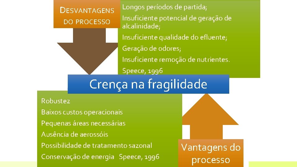 DESVANTAGENS DO PROCESSO Longos períodos de partida; Insuficiente potencial de geração de alcalinidade; Insuficiente