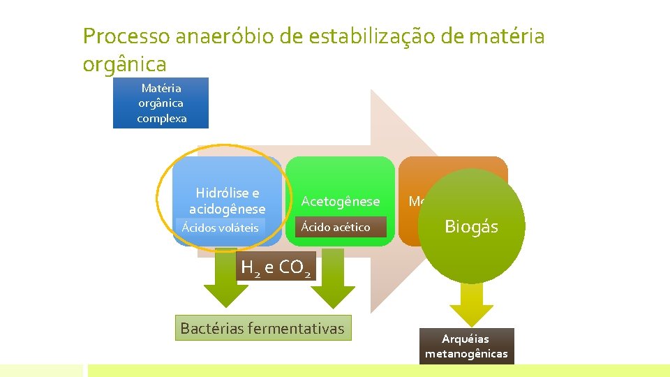 Processo anaeróbio de estabilização de matéria orgânica Matéria orgânica complexa Hidrólise e acidogênese Ácidos