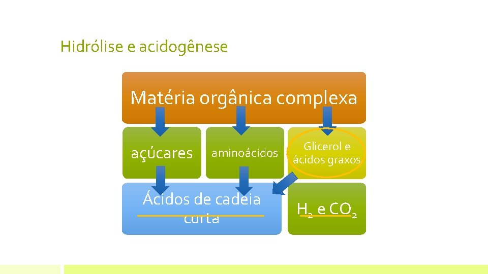 Hidrólise e acidogênese Matéria orgânica complexa açúcares aminoácidos Ácidos de cadeia curta Glicerol e