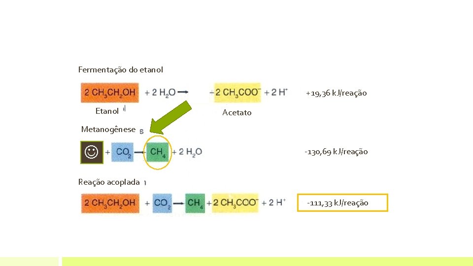 Fermentação do etanol +19, 36 k. J/reação Etanol Acetato Metanogênese -130, 69 k. J/reação