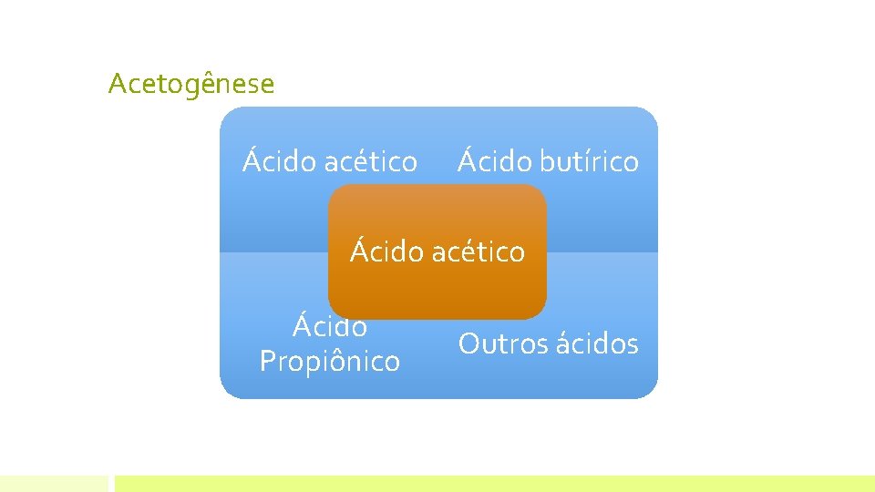 Acetogênese Ácido acético Ácido butírico Ácido acético Ácido Propiônico Outros ácidos CH 4 