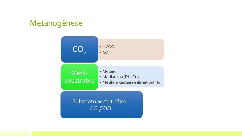 Metanogênese CO 22 CO Metilsubstratos • HCOO • CO • Metanol • Metilamina (Di