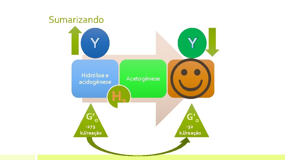 Sumarizando Y Hidrólise e acidogênese Y Acetogênese H 2 G’o -273 k. J/reação G’o