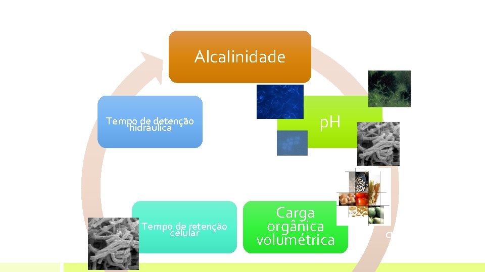 Alcalinidade Tempo de detenção hidráulica Tempo de retenção celular p. H Carga orgânica volumétrica