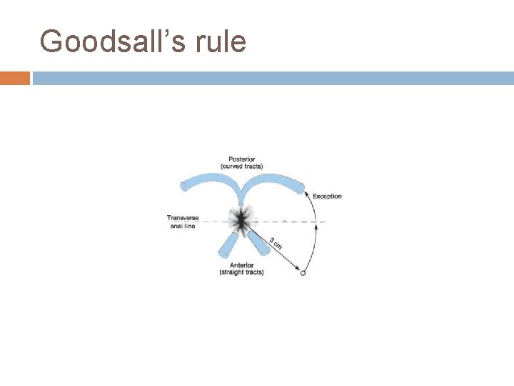 Goodsall’s rule 