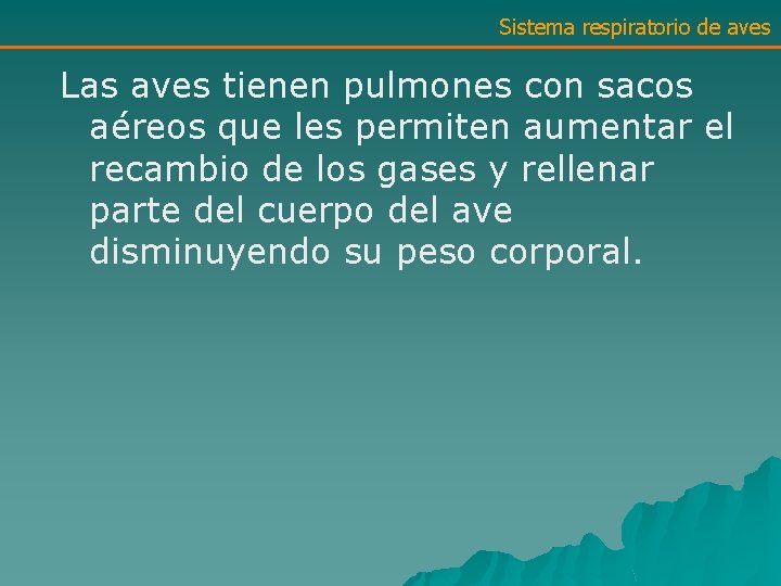 Sistema respiratorio de aves Las aves tienen pulmones con sacos aéreos que les permiten