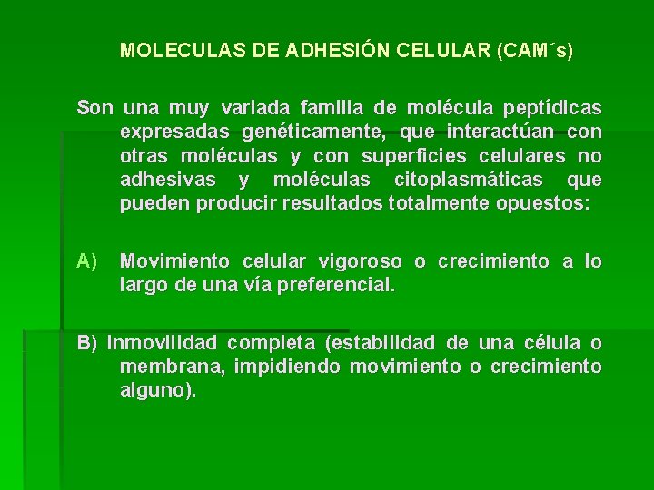 MOLECULAS DE ADHESIÓN CELULAR (CAM´s) Son una muy variada familia de molécula peptídicas expresadas