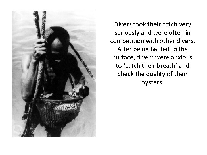 Divers took their catch very seriously and were often in competition with other divers.