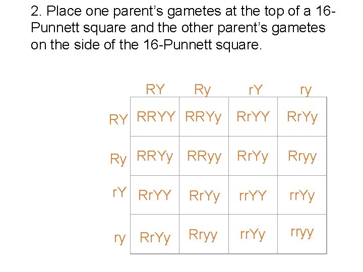2. Place one parent’s gametes at the top of a 16 Punnett square and
