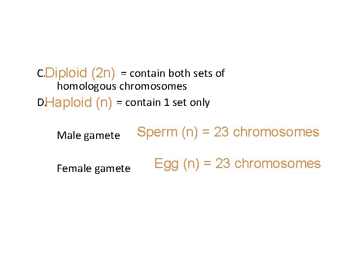 C. = contain both sets of Diploid (2 n) homologous chromosomes D. = contain