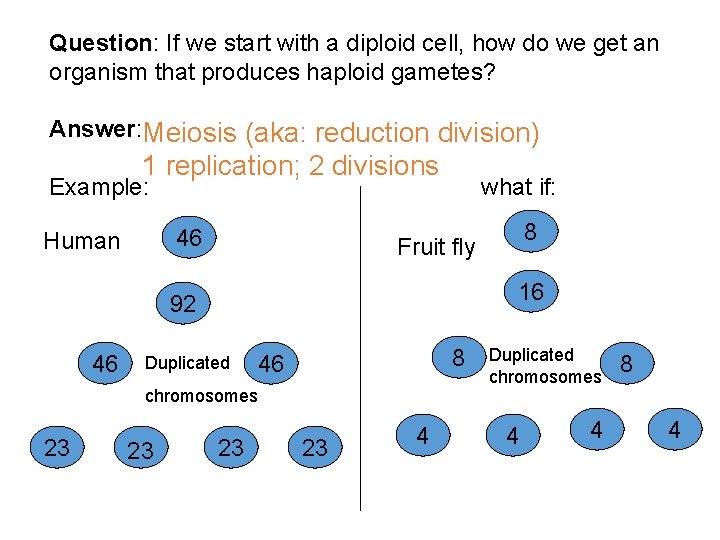 Question: If we start with a diploid cell, how do we get an organism