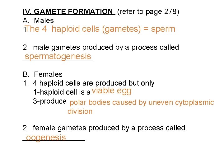 IV. GAMETE FORMATION (refer to page 278) A. Males The 4 haploid cells (gametes)