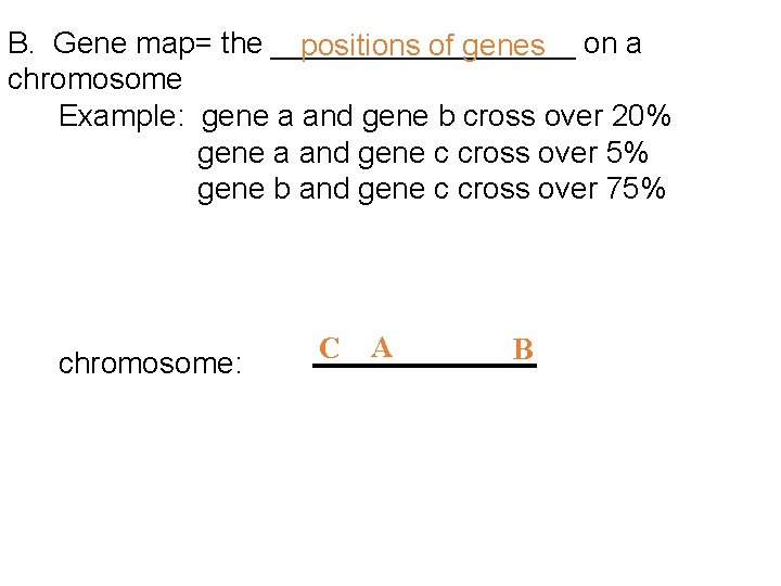 B. Gene map= the _________ on a positions of genes chromosome Example: gene a