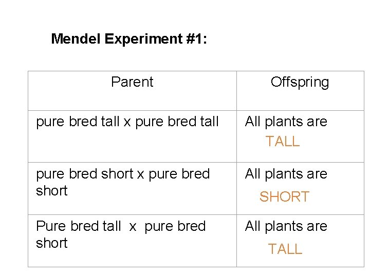  Mendel Experiment #1: Parent Offspring pure bred tall x pure bred tall All