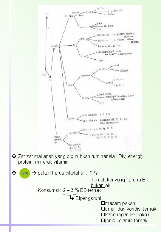  Zat-zat makanan yang dibutuhkan ruminansia : BK; energi; protein; mineral; vitamin BM pakan