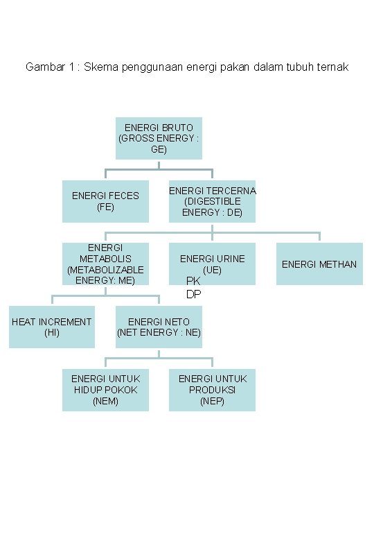 Gambar 1 : Skema penggunaan energi pakan dalam tubuh ternak ENERGI BRUTO (GROSS ENERGY