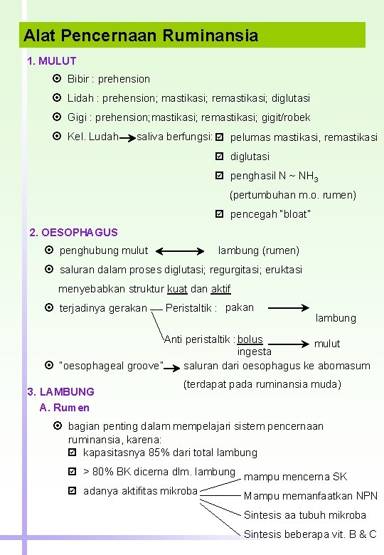 Alat Pencernaan Ruminansia 1. MULUT Bibir : prehension Lidah : prehension; mastikasi; remastikasi; diglutasi