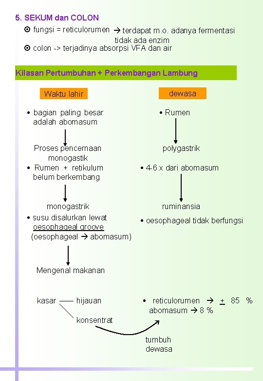 5. SEKUM dan COLON fungsi = reticulorumen terdapat m. o. adanya fermentasi tidak ada