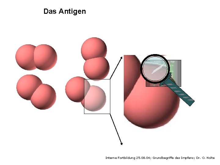 Das Antigen Interne Fortbildung 25. 08. 04; Grundbegriffe des Impfens; Dr. O. Nolte 