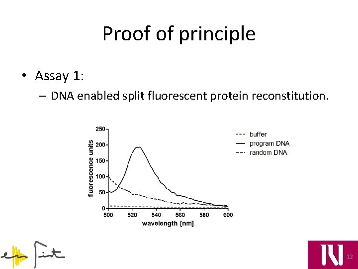 Proof of principle • Assay 1: – DNA enabled split fluorescent protein reconstitution. 12