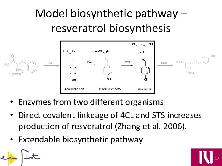 Model biosynthetic pathway – resveratrol biosynthesis TAL OMT • Enzymes from two different organisms
