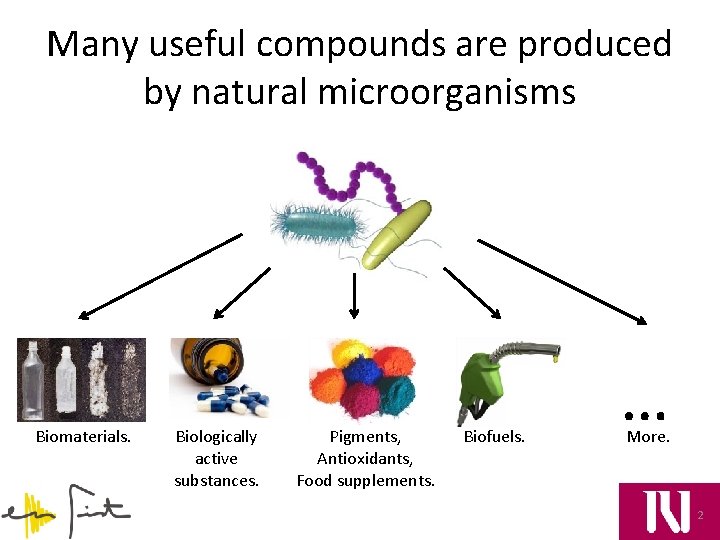 Many useful compounds are produced by natural microorganisms Biomaterials. Biologically active substances. Pigments, Antioxidants,