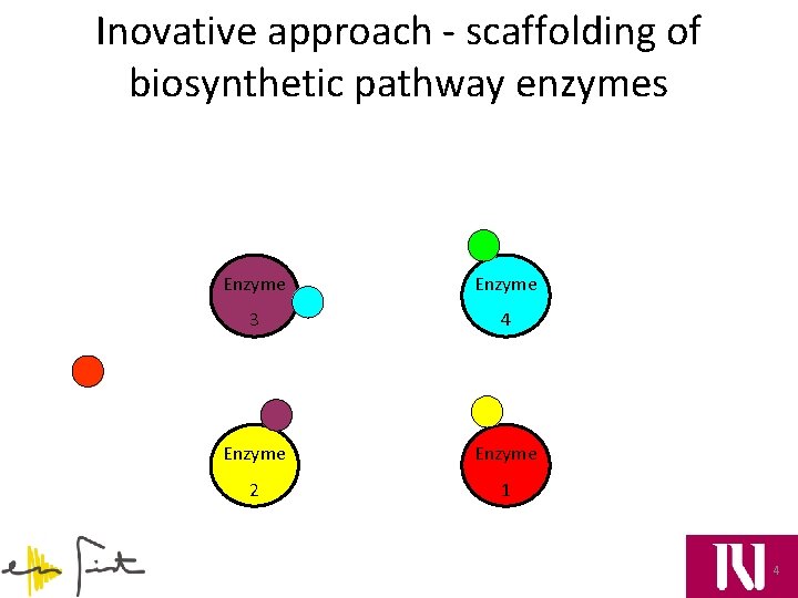 Inovative approach - scaffolding of biosynthetic pathway enzymes Enzyme 3 4 Enzyme 2 1